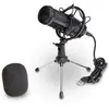 Image de Microphone à condensateur cardioïde USB Bontempi-418020