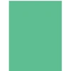 Image de 1 Nappe Verte 57115-03