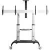 Image de StarTech.com Support chariot double à roulettes pour TV de 37" à 60"