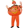 Image de Déguisement Citrouille - Adulte 73120STD