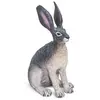 Image de Figurine  Lièvre du désert américain Safari-S182029