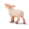 Image de Figurine Porcelet Safari-S245729