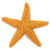 Image de Figurine  Etoile de mer Safari-S276829