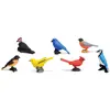 Image de Lot de 7 figurines : Oiseaux du jardin Safari-S678304