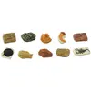 Image de Lot de 10 figurines : Fossiles ancients Safari-S684804