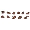 Image de Lot de 11 figurines : Crânes dinosaures Safari-S687404