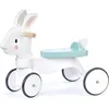 Image de Porteur lapin
