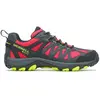 Image de Chaussures de randonnée Merrell Accentor 3 GTX J500237 Gris 49