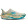 Image de Chaussures de trail femme Brooks Ghost Trail 120464-222 Beige 37,5 B