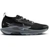 Image de Chaussures de trail Nike Pegasus Trail 5 GORE-TEX FQ0908-001 Noir 44
