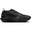 Image de Chaussures de trail femme Nike Pegasus Trail 5 GORE-TEX FQ0912-002 Noir 43