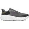 Image de Chaussures de running Under Armour Rogue 5 3028256-025 Gris 44,5