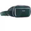 Image de Sacoche banane Patagonia Fieldsmith Hip Vert TU 48580-CASG
