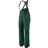 Image de Pantalon de ski femme Patagonia Untracked Bibs Vert L 29913-CASG