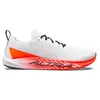 Image de Chaussures de running Altra Vanish Pulse AL0A85SJ-86G Blanc 45