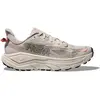 Image de Chaussures de trail femme Hoka Challenger 8 1168717-SPHL Gris 36 2/3