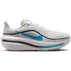 Image de Chaussures de running Nike Winflo 12 HV9272-006 Gris 43