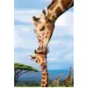 Image de Puzzle 250 pièces : Collection Save our planet : Girafes EuroG-8251-0294