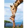 Image de Puzzle 250 piÃ¨ces : Collection Save our planet : Girafes