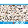 Image de Puzzle 2000 pièces : Le monde des chiens EuroG-8220-0581
