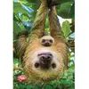 Image de Puzzle 250 pièces : Collection Save our planet : Les paresseux EuroG-8251-5556
