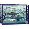 Image de Puzzle 1000 pièces : Requins EuroG-6000-0079