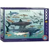 Image de Puzzle 1000 piÃ¨ces : Requins