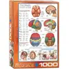 Image de Puzzle 1000 piÃ¨ces : Le cerveau