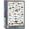 Image de Puzzle 1000 pièces : Poissons de mer EuroG-6000-0313