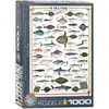 Image de Puzzle 1000 piÃ¨ces : Poissons de mer