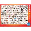 Image de Puzzle 1000 pièces : Le monde des chats EuroG-6000-0580