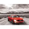 Image de Puzzle 1000 pièces : Ford Mustang, 50 ans de puissance EuroG-6000-0702