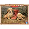 Image de Puzzle 1000 pièces : Quelque chose de vieux, quelque chose de nouveau EuroG-6000-0795