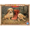 Image de Puzzle 1000 piÃ¨ces : Quelque chose de vieux, quelque chose de nouveau