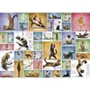 Image de Puzzle 1000 pièces : Le yoga des chats EuroG-6000-0953