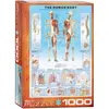 Image de Puzzle 1000 pièces : Le corps Humain EuroG-6000-1000