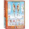 Image de Puzzle 1000 piÃ¨ces : Le corps Humain