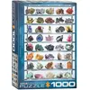 Image de Puzzle 1000 pièces : Minéraux du monde EuroG-6000-2008