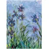 Image de Puzzle 1000 pièces : Claud Monet Iris EuroG-6000-2034