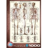 Image de Puzzle 1000 pièces : Le squelette