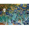 Image de Puzzle 1000 pièces : Iris, Van Gogh EuroG-6000-4364