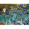 Image de Puzzle 1000 piÃ¨ces : Iris, Van Gogh