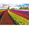 Image de Puzzle 1000 pièces : Champ de tulipes EuroG-6000-5326