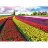 Image de Puzzle 1000 piÃ¨ces : Champ de tulipes
