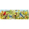 Image de Puzzle 1000 pièces panoramique :  Oiseaux de jardin EuroG-6010-5338