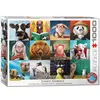 Image de Puzzle 1000 piÃ¨ces : Animaux rigolos