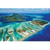 Image de Puzzle 1000 piÃ¨ces : Save the planet : RÃ©cif de corail