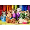 Image de Puzzle 1000 pièces : Chatons arc-en-ciel EuroG-6000-5543