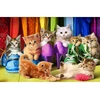 Image de Puzzle 1000 piÃ¨ces : Chatons arc-en-ciel