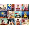 Image de Puzzle 1000 pièces : Lapins rigolos EuroG-6000-5693